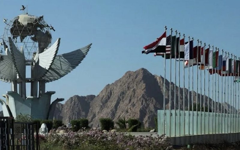 В Египте пройдет международный саммит по урегулированию конфликта в Газе